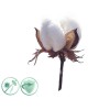 Alfapureo Dezinfekčný aroma olej 100 ml Soft Cotton - 2 ks