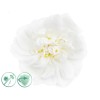 Alfapureo Dezinfekčný aroma olej 100 ml White Flower